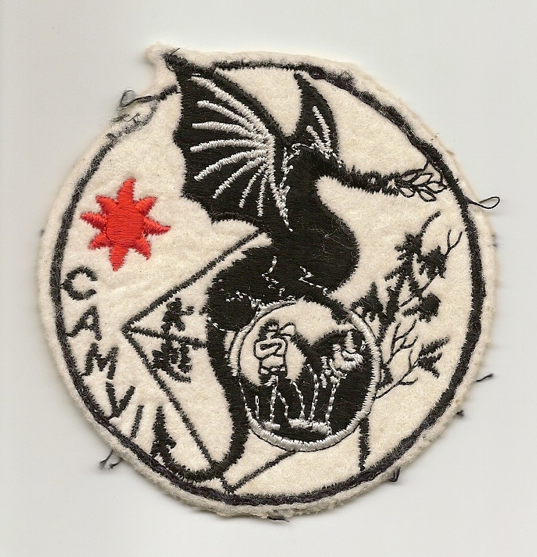Camvi logo