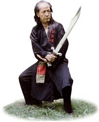 Nguyen Dan Fu