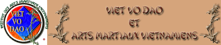 logi iamv vvd