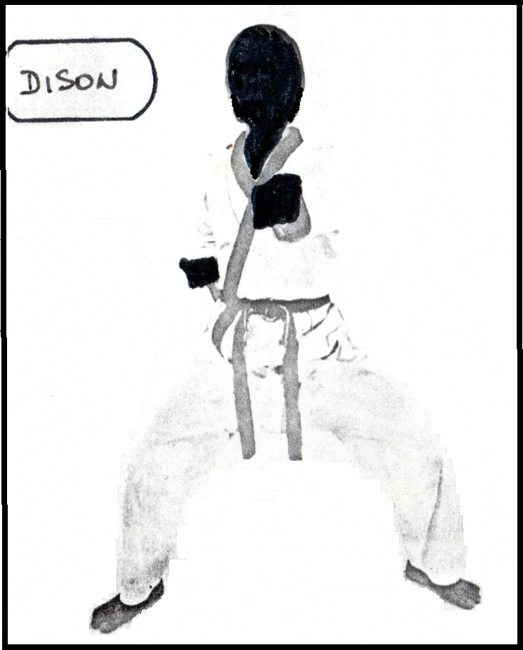 Di Song